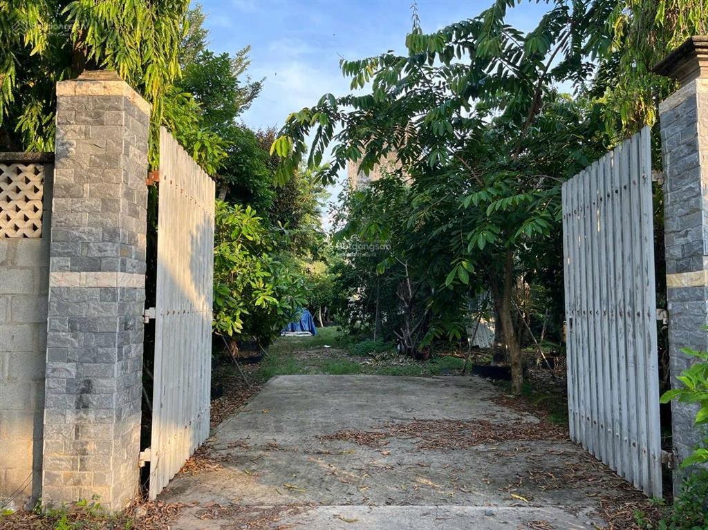 Lô đất vườn có sẵn nhà yến xã phạm văn cội, củ chi dt (25m x 90m) 2000m2 vườn và 300m2 thổ cư