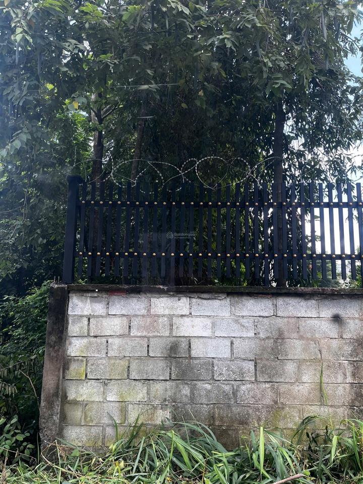Lô đất vườn có sẵn nhà yến xã phạm văn cội, củ chi dt (25m x 90m) 2000m2 vườn và 300m2 thổ cư