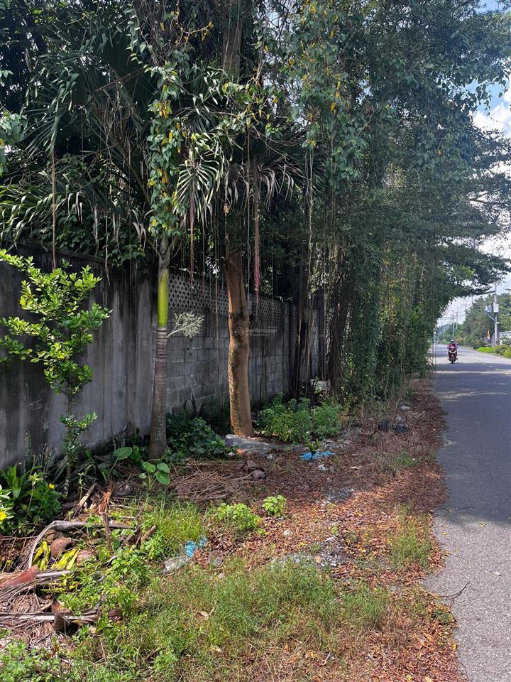 Lô đất vườn có sẵn nhà yến xã phạm văn cội, củ chi dt (25m x 90m) 2000m2 vườn và 300m2 thổ cư