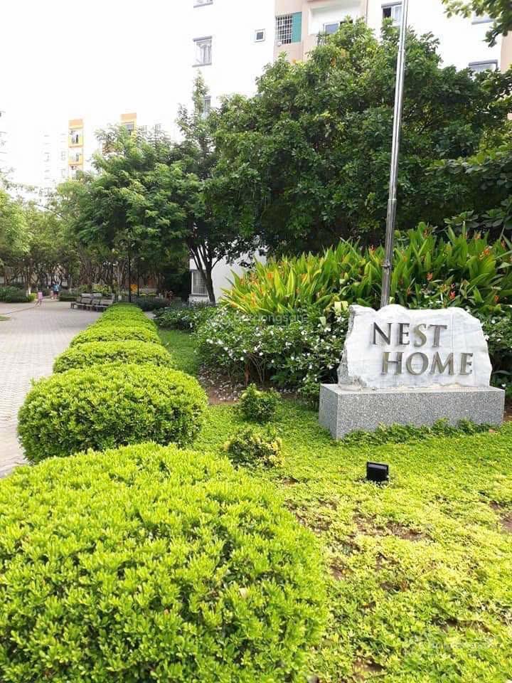 Bán căn góc tầng 6 chung cư nesthome 2pn 2wc, có công viên cây xanh nội khu