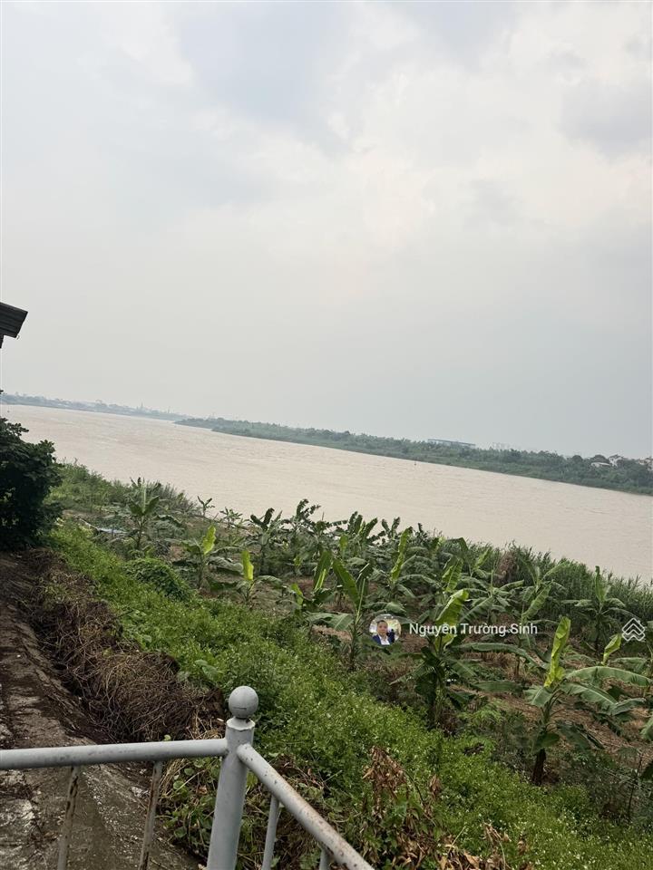 Bán nhà riêng tại xã mai lâm, đông anh, hà nội, giá tốt, 1550 m2 view sông đuống giá 78,5 tỷ