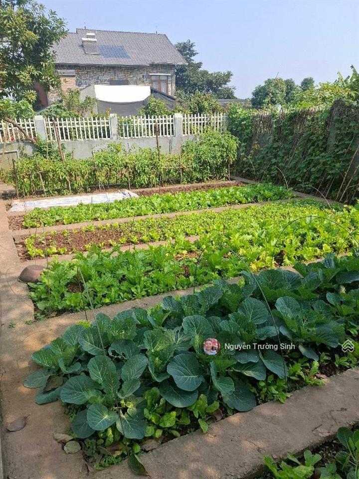 Bán gấp 84,3m thôn lại đà xã đông anh hà nội giá chỉ 10,9 tỷ.