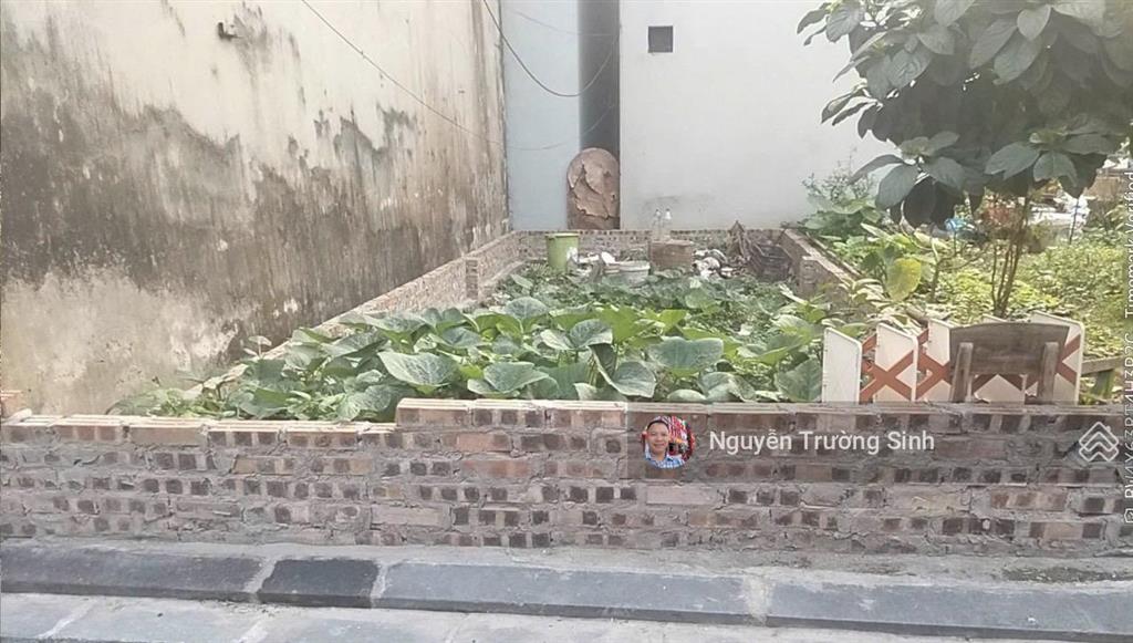 Bán gấp đất thái bình, xã đông anh, hà nội. thông ô tô chỉ 4,1 tỷ