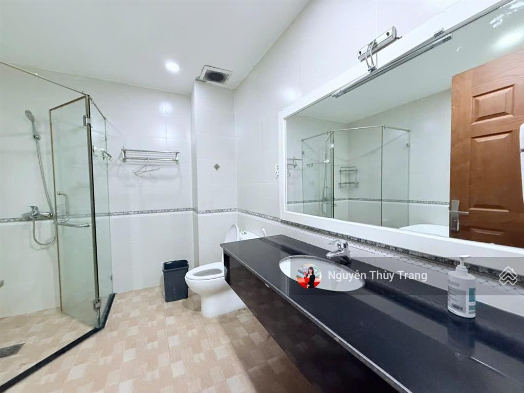 Cho thuê bt view đẹp, 100m2, 15 triệu, tại khu đô thị việt  sing the oasis, bình dương