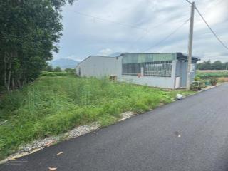 Cần bán gấp 514m2 60m2 tc giá 2.3 tỷ đất châu pha gần kcn sonadezi 2300ha