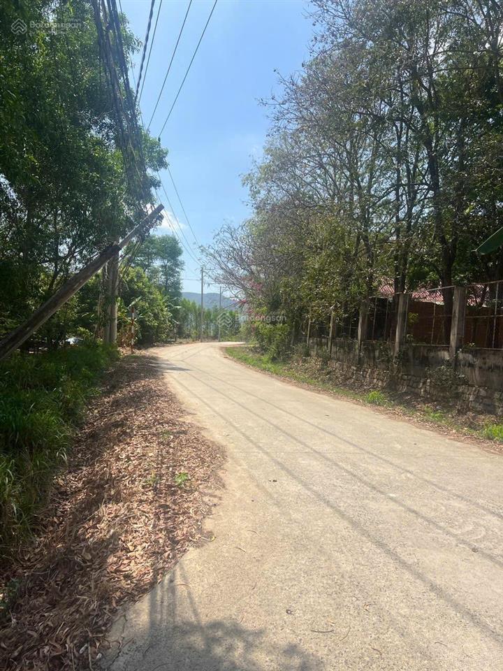 Mt đường xe cont không cấm tải 5500m2 250m2 thổ cư giá 8,25tỷ