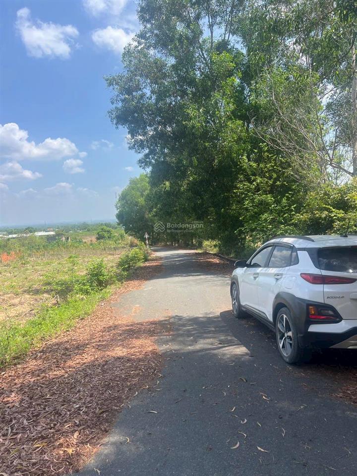 Mt đường xe cont không cấm tải 5500m2 250m2 thổ cư giá 8,25tỷ