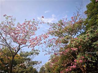 Cho thuê ch 3pn, 135m2, giá siêu hời 25 triệu tại happy valley, tân phong, q7, hcm