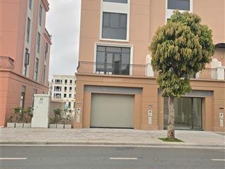 Song lập phố  sản phẩm bất động sản giá trị tại vinhomes vũ yên