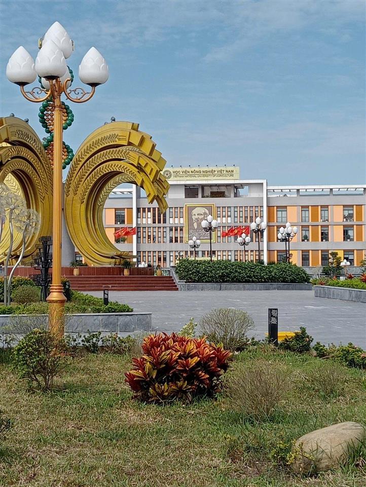 Bán đất trâu quỳ 43.8m2 vuông vắn. 15m ra ô tô tránh, thích hợp xây ở, đầu tư tích sản