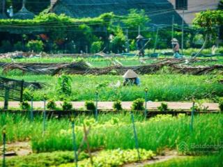 Bán đất tại làng rau trà quế, 120 m2 giá tốt khu chỉ 3x tr/m2  0974 360 ***