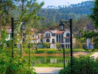 Chính chủ cần tiền gửi bán căn góc biệt thự song lập thanh xuân valley  vĩnh phúc