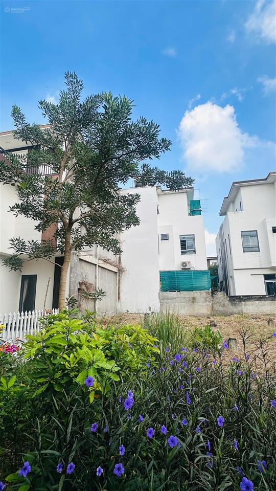Cần bán gấp nền biệt thự phố kđt trần anh riverside bến lức