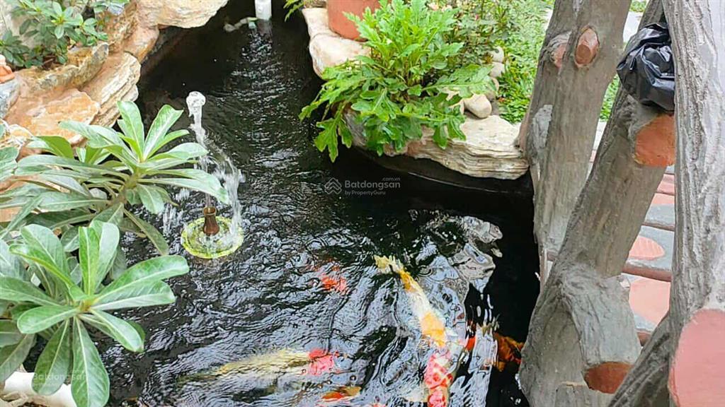 Bán nhà cấp 4 mái thái kiểu dáng đẹp