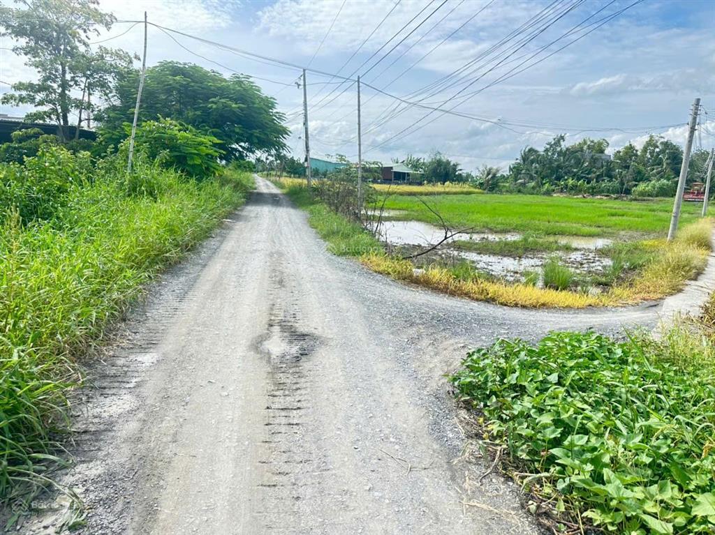 Bán 347m2 đất thổ cư xã tân lân, long an, giá rẻ