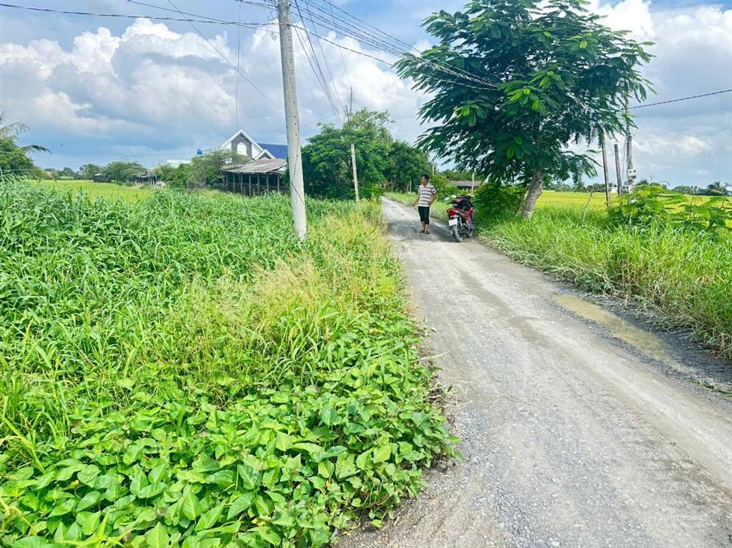 Bán 347m2 đất thổ cư xã tân lân, long an, giá rẻ