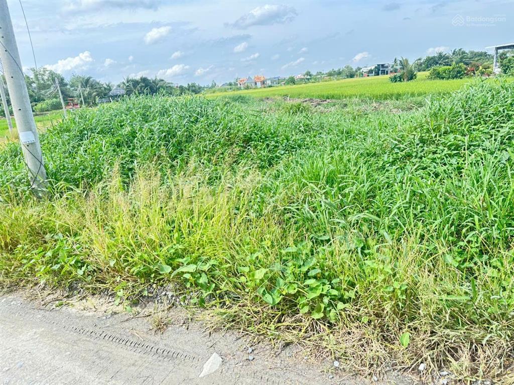 Bán 347m2 đất thổ cư xã tân lân, long an, giá rẻ