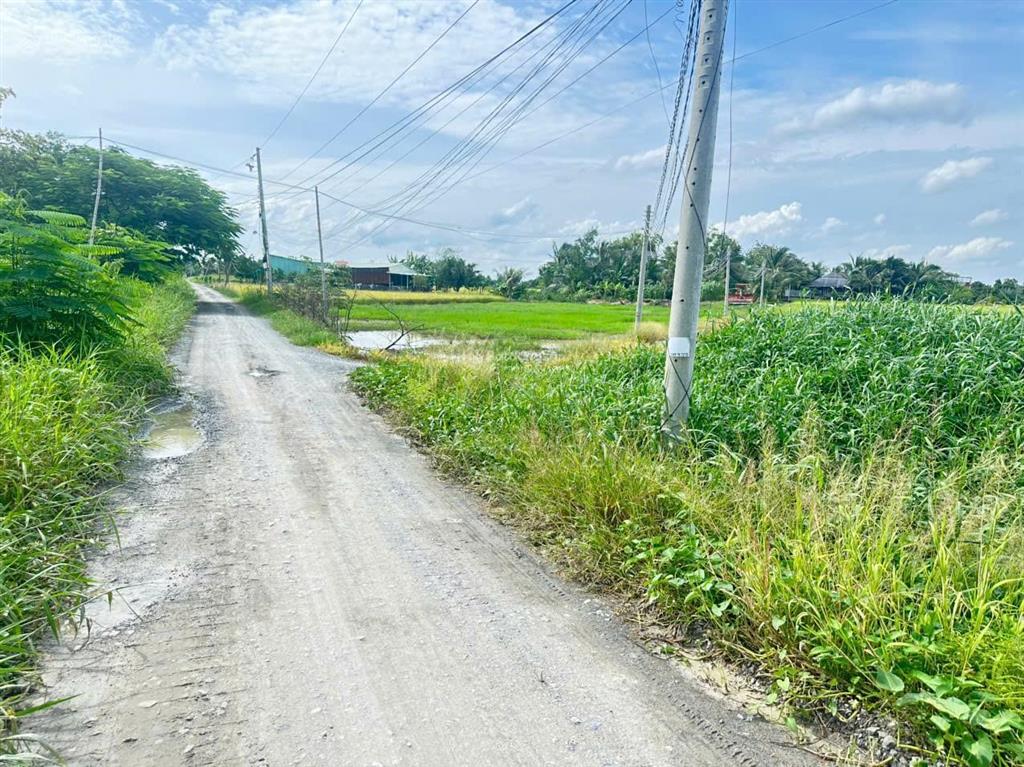 Bán 347m2 đất thổ cư xã tân lân, long an, giá rẻ