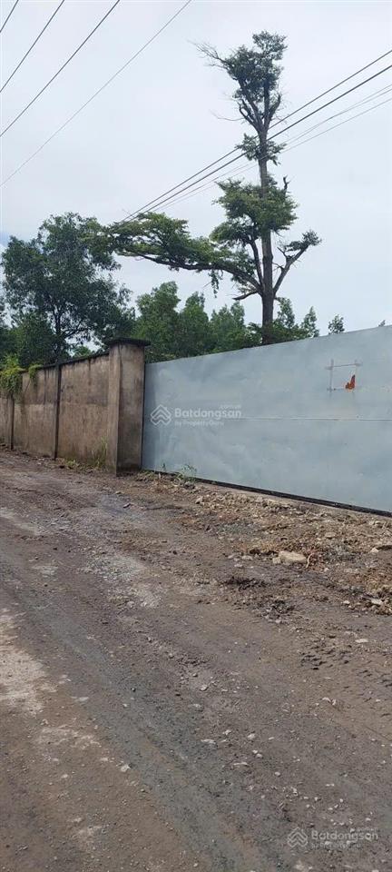 Bán 4929m2 đất nn xã hố nai 3, trảng bom, đồng nai chỉ 10 tỷ