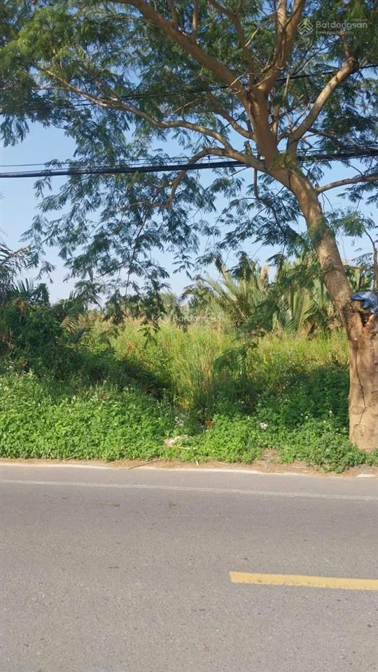 Cần bán 2ha đất mặt tiền ngô quang thắm nhà bè hcm