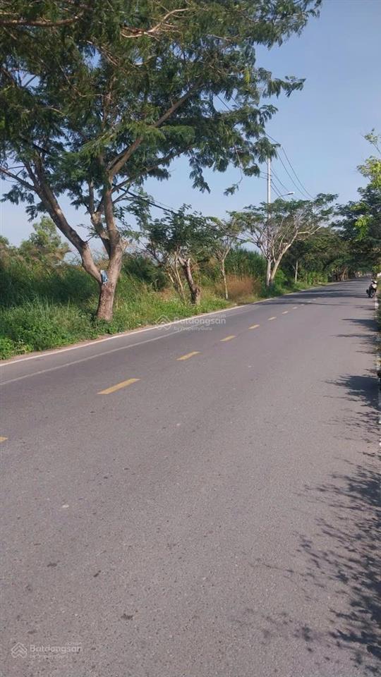 Cần bán 2ha đất mặt tiền ngô quang thắm nhà bè hcm