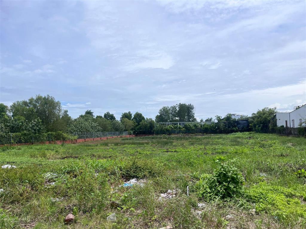 Bán đất 2600m2 có 1700m2 thổ cư tại lương văn nho, cần giờ, giá ưu đãi 17 triệu/m2