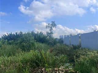 Bán gấp đất tại hẻm 360 phạm hữu lầu, 615m2, 5,2 triệu/m2 thương lương mạnh