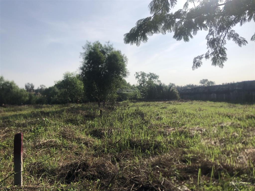 Mặt xương cá 2, đường ngô quang thắm, 1117m2 có 300m2 thổ cư, giá 10tr/m2