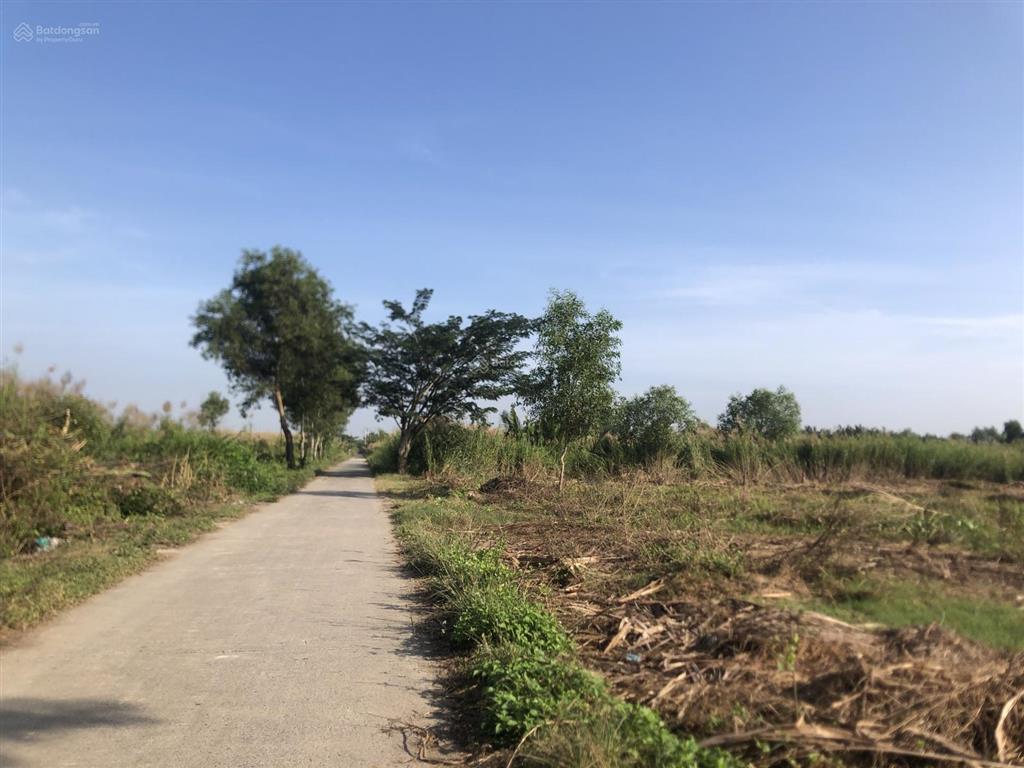 Mặt xương cá 2, đường ngô quang thắm, 1117m2 có 300m2 thổ cư, giá 10tr/m2
