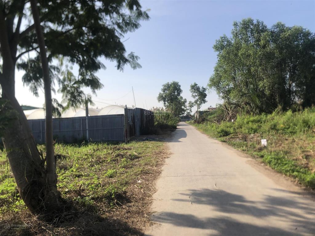 Mặt xương cá 2, đường ngô quang thắm, 1117m2 có 300m2 thổ cư, giá 10tr/m2
