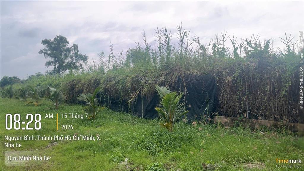 740m2 (10x74) mặt tiền đường nguyễn bình huyện nhà bè. giá 12tr/m2