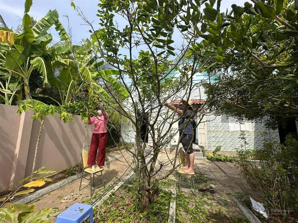 Bán đất đẹp sẵn nhà kèm vườn ăn trái tại tổ 6 ấp tân trung xã châu pha, 4 tỷ, 720 m2