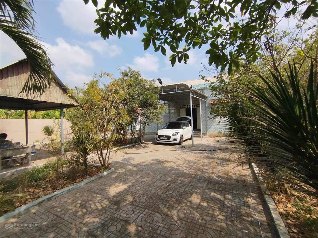 Cho thuê nhà riêng kèm vườn cây ăn trái 720m2, 4,5 triệu, gần chợ châu pha, phú mỹ, cách sài gòn 1h