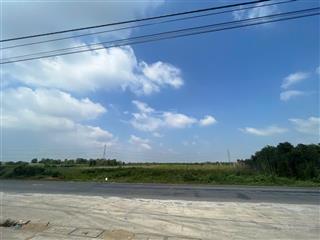 Bán 1,1 ha mặt tiền đường n2, bến lức cũ, mặt tiền rộng 25m, đất nở hậu, nền đất cao