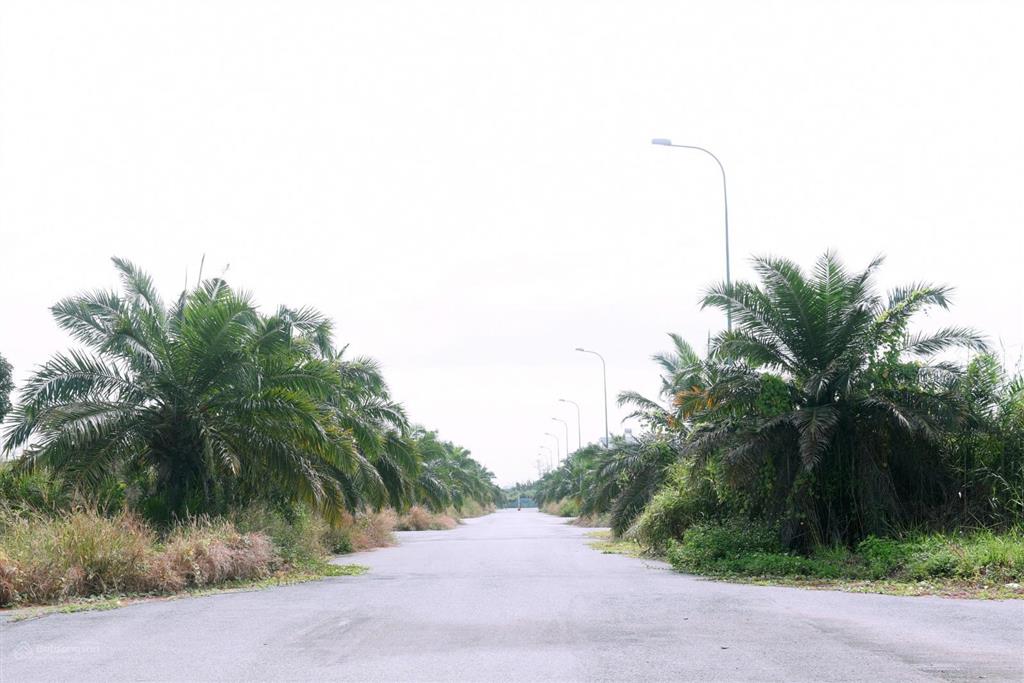 Cần tiền chuyển nhượng gấp các nền e3 đường 12m giá 33tr/m2  0986 833 ***