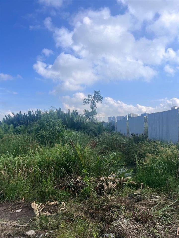 615m2 đất đường xe hơi Phước Kiển, Giá 3,2 tỷ Thương lượng