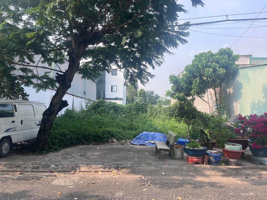 296m2(12x25) Mặt đường 12m, KDC Long Thới, Nhà Bè. Giá 8,6 tỷ