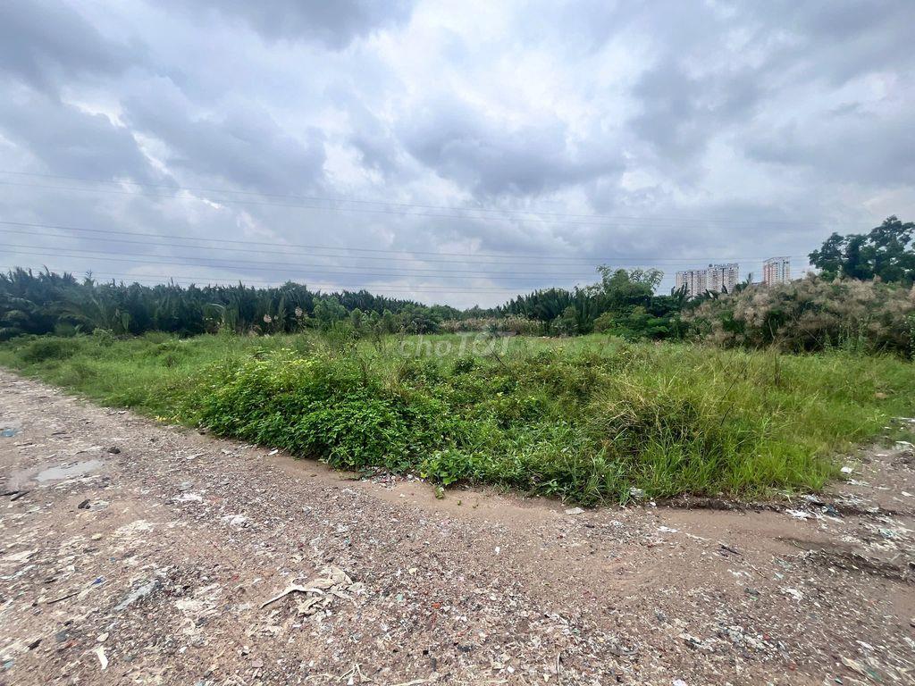 4500m2 (100x45) đất vườn sân gold Phước Kiển, Nhà Bè, Giá 4.5tr/m2