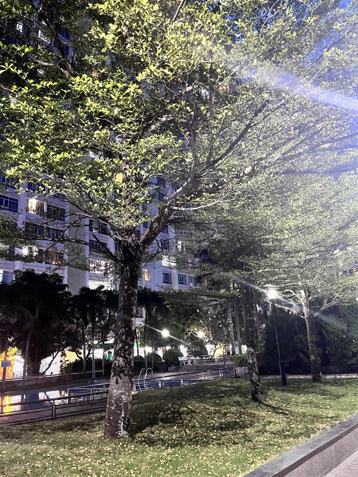 Cần cho thuê shophouse phú hoàng anh view hồ bơi giá rẻ, 17tr/tháng,  0902 706 ***