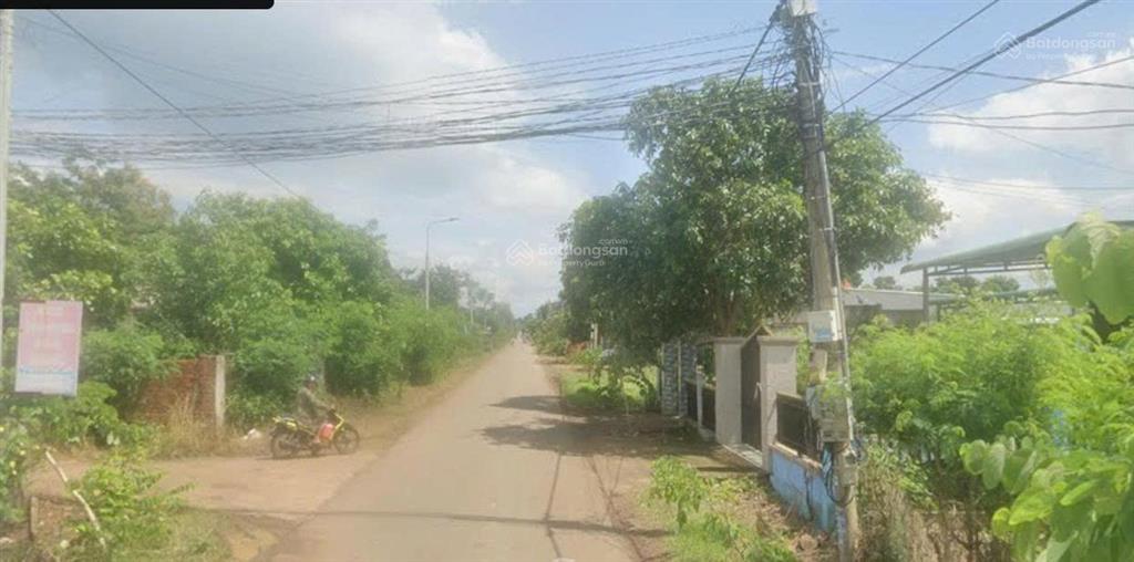 Tiền chưa về kịp cần up sỉ 14 lô đất thổ cư 5x31 tại xuân đông,giá 325triệu/lô,sổ sẵn,đường bê tông