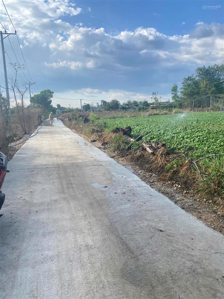 Em cần bán vài lô đất full thổ cư sẵnđược xây nhà ngay tại xã xuân đông, cẩm mỹ, đồng nai.