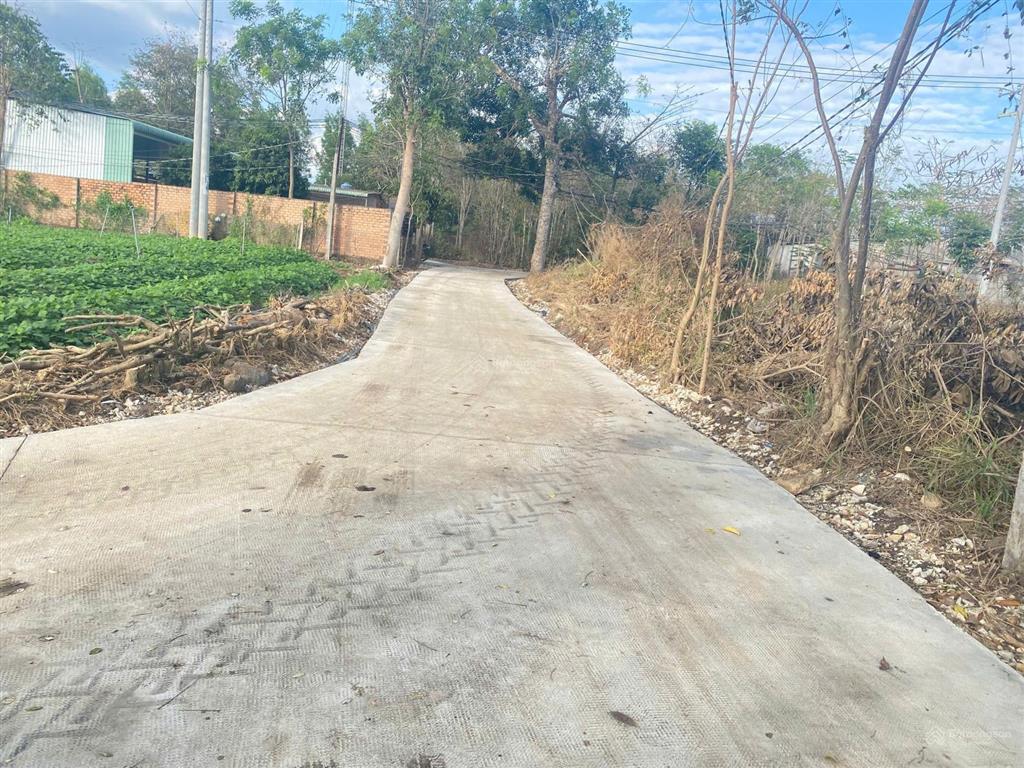 Em cần bán vài lô đất full thổ cư sẵnđược xây nhà ngay tại xã xuân đông, cẩm mỹ, đồng nai.