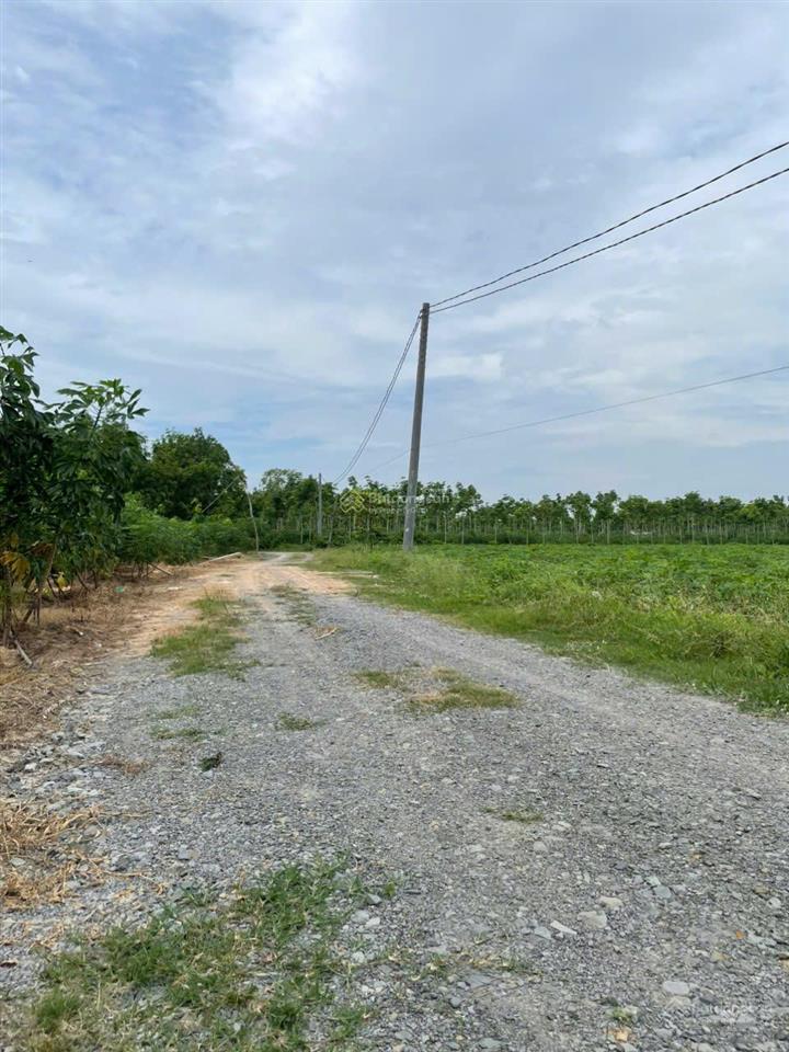 Cần tiền bán gấp miếng đất ở xa nhà 29284.9m2 (hơn 2.9 mẫu) tại xã hòa thạnh, châu thành, tây ninh