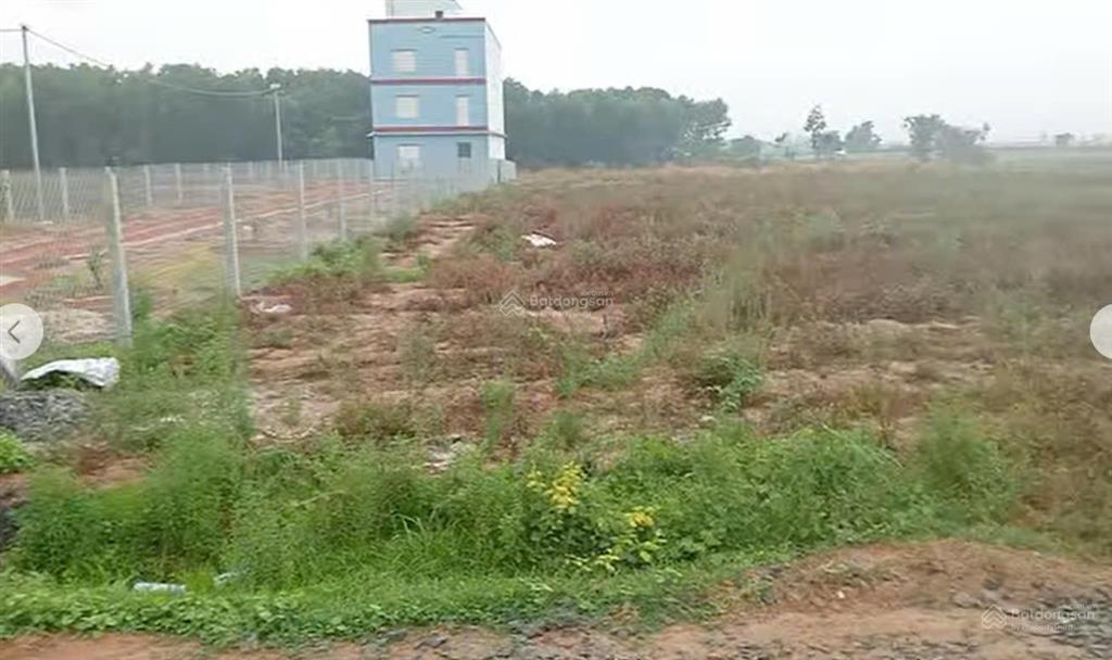 Cần tiền bán gấp miếng đất ở xa nhà 29284.9m2 (hơn 2.9 mẫu) tại xã hòa thạnh, châu thành, tây ninh