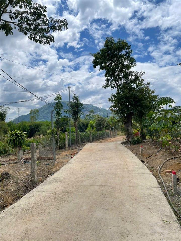 Cần bán lô đất 1005m2, 2 mặt đường bê tông giá ngộp tại xã suối cao, huyện xuân lộc, tỉnh đồng nai