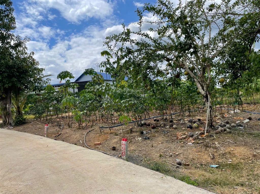 Cần bán lô đất 1005m2, 2 mặt đường bê tông giá ngộp tại xã suối cao, huyện xuân lộc, tỉnh đồng nai