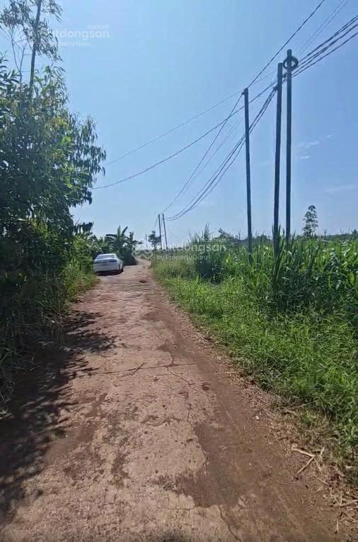 Cần tiền bán gấp lô đất 1476m2 tại xã xuân đông, cẩm mỹ, đồng nai