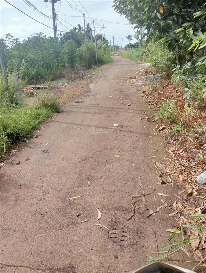 Cần tiền bán gấp lô đất 1476m2 tại xã xuân đông, cẩm mỹ, đồng nai