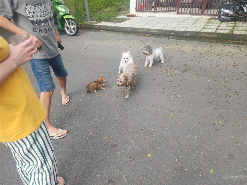 Bán đất biệt thự chân núi cô tiên  hoàng phú nha trang