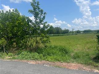 Bán đất thổ cư tại xã long khánh, 215m2 giá bán chỉ có 300 triệu